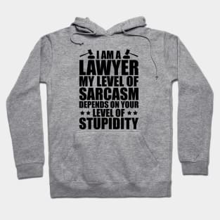 Lawyer - I am a lawyer my level of sarcasm depends on your level of stupidity Hoodie